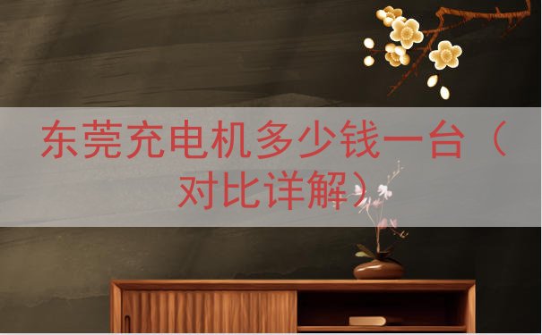 东莞充电机多少钱一台（对比详解）
