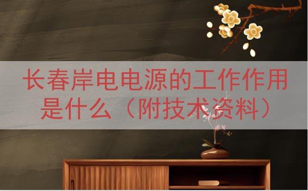 长春岸电电源的工作作用是什么（附技术资料）